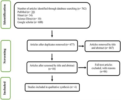 Brain functional connectivity in hyperthyroid patients: systematic review